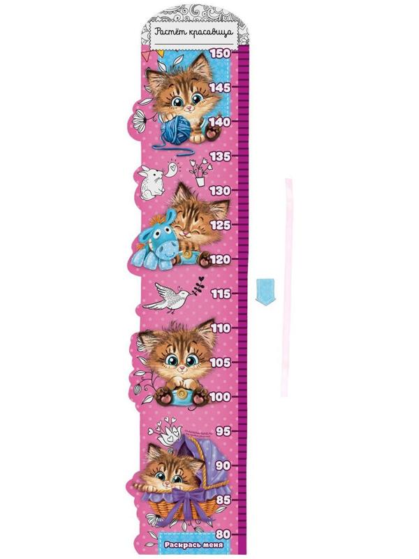 Ростомер фигурный с передвижным элементом на магните 