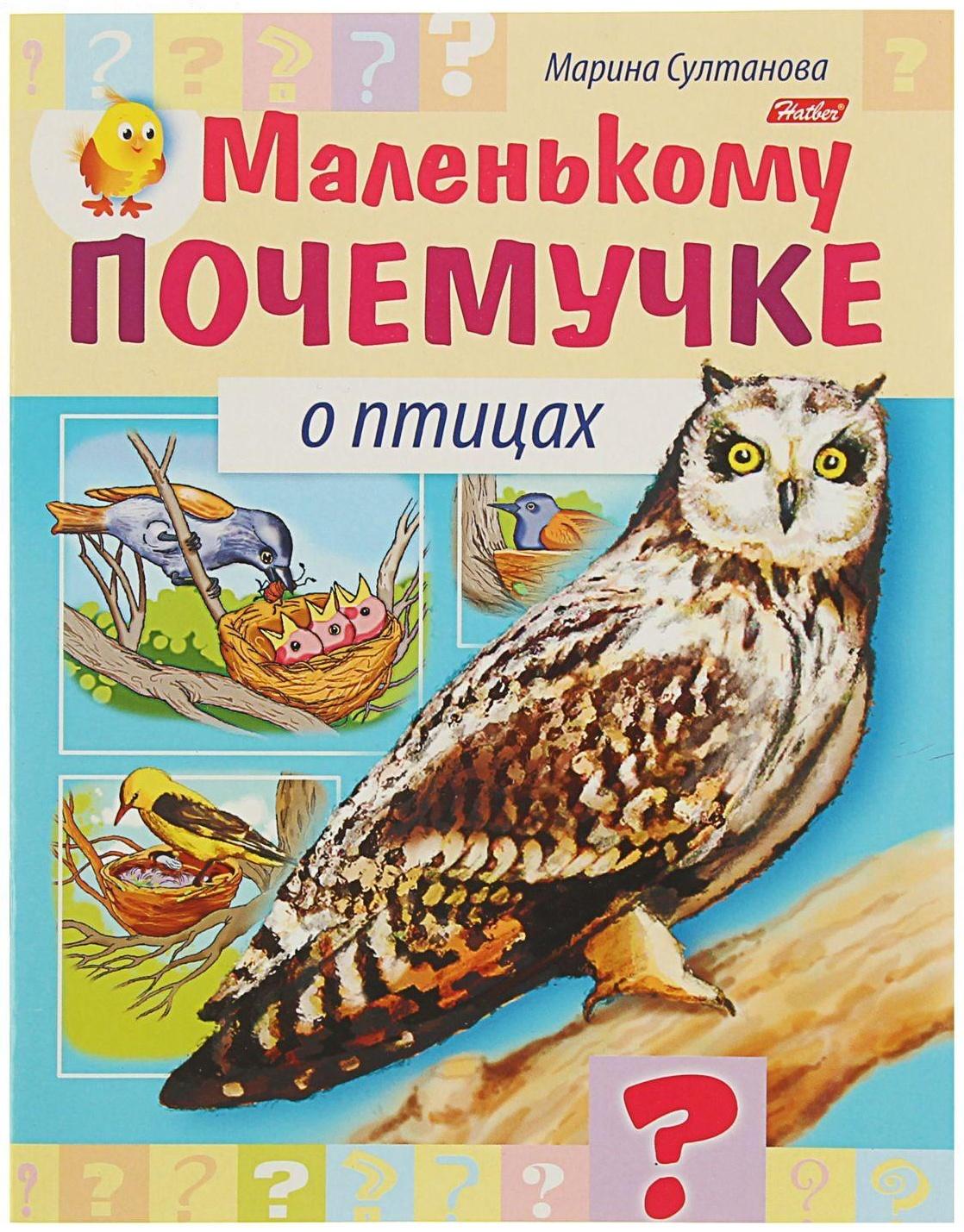 Маленькому почемучке «О птицах», Султанова М.