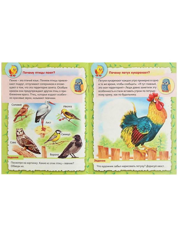Маленькому почемучке «О птицах», Султанова М.