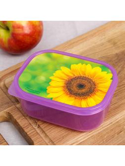 Ланч-бокс «Подсолнух», 500 мл