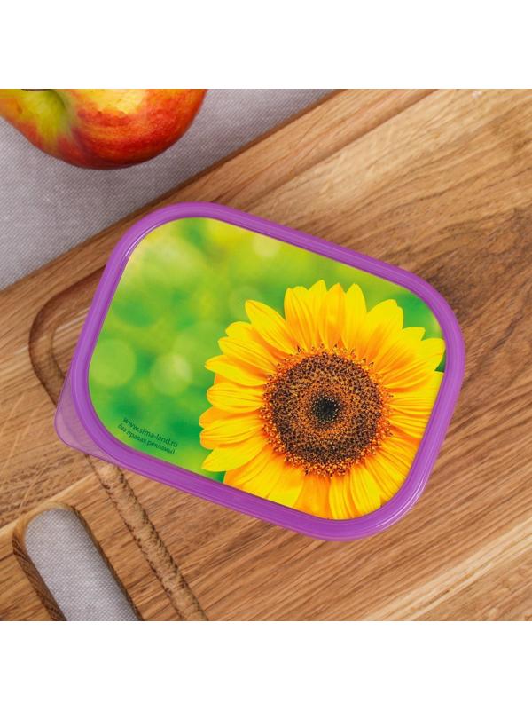 Ланч-бокс «Подсолнух», 500 мл
