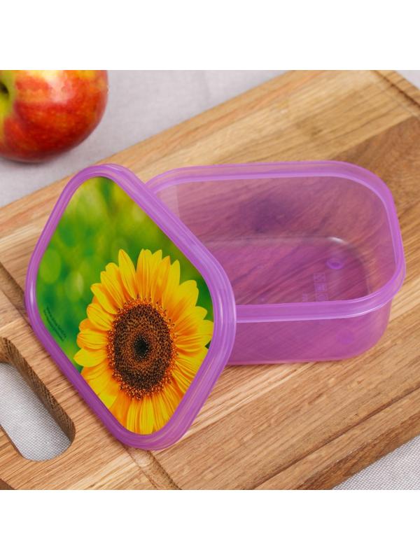 Ланч-бокс «Подсолнух», 500 мл