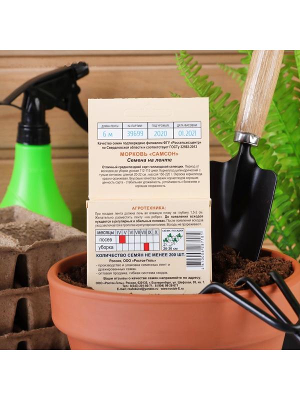 Семена Морковь 