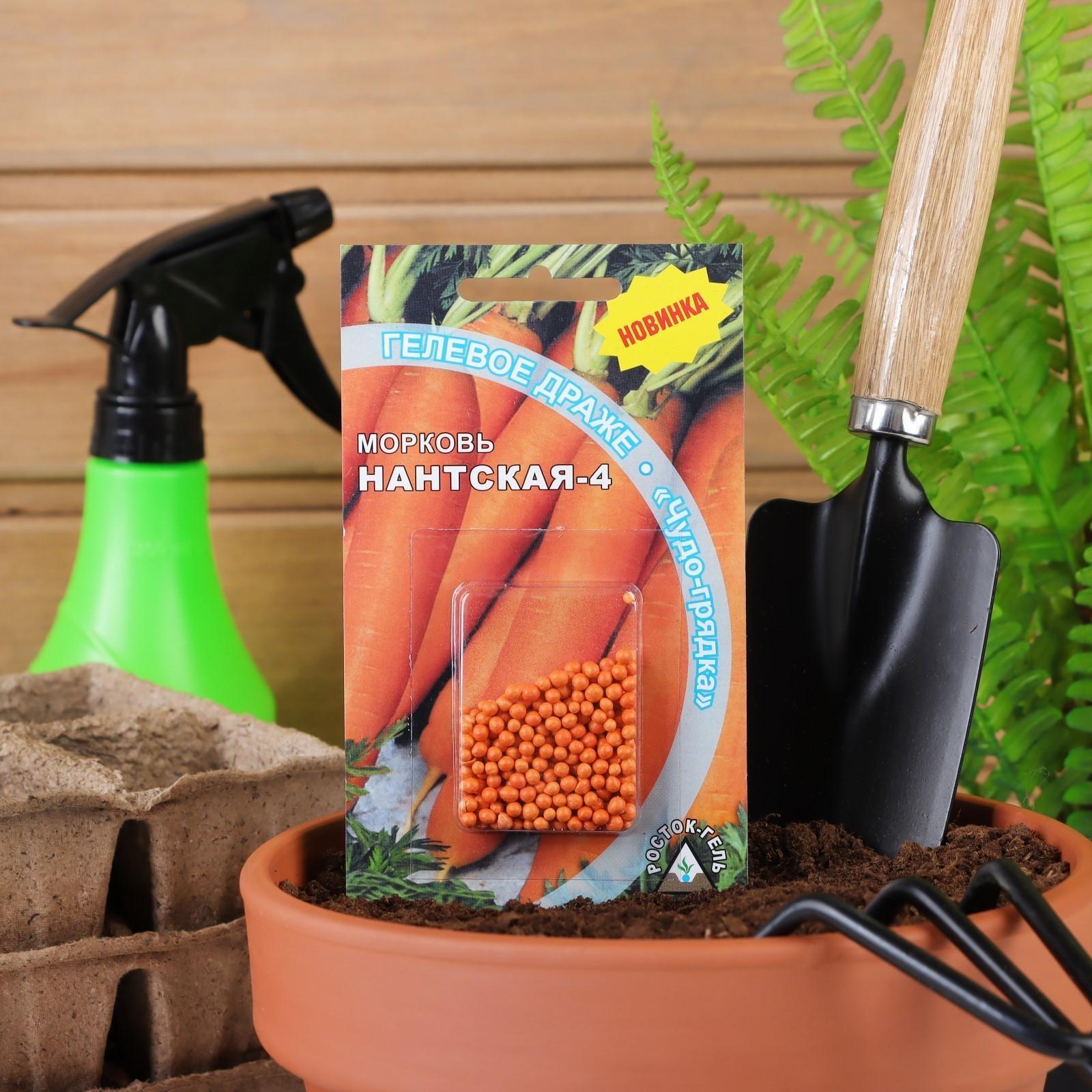 Семена Морковь 