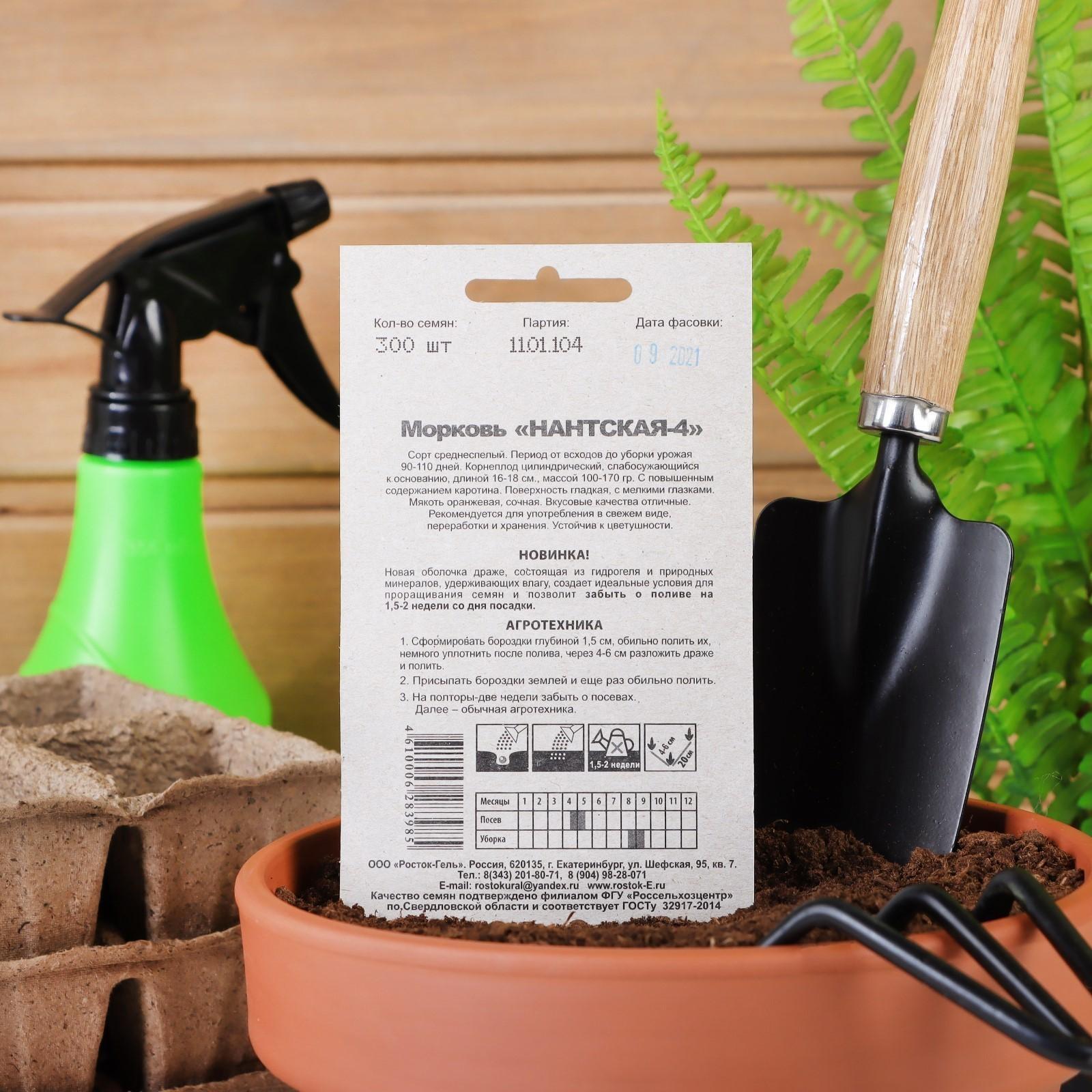 Семена Морковь 