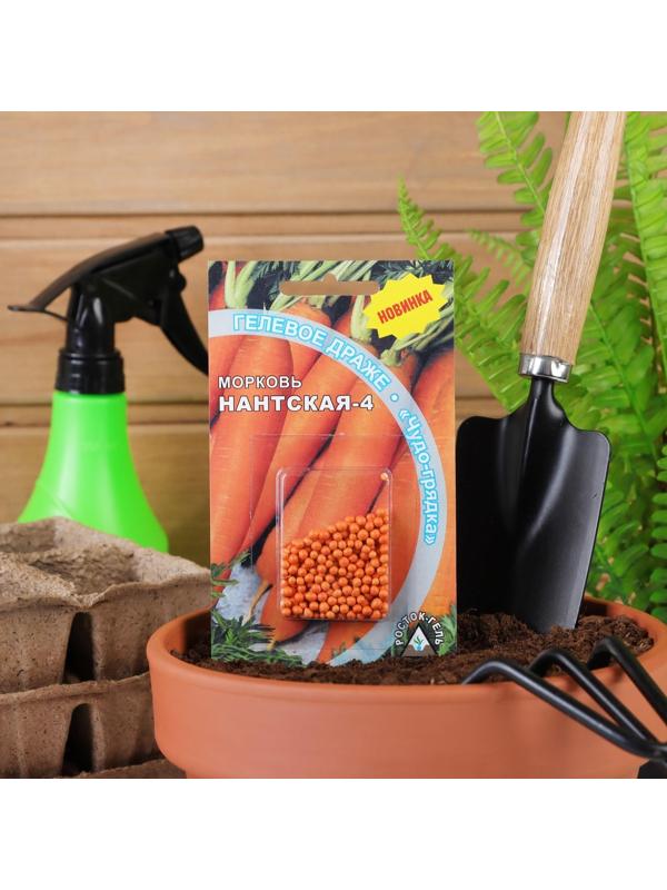 Семена Морковь 