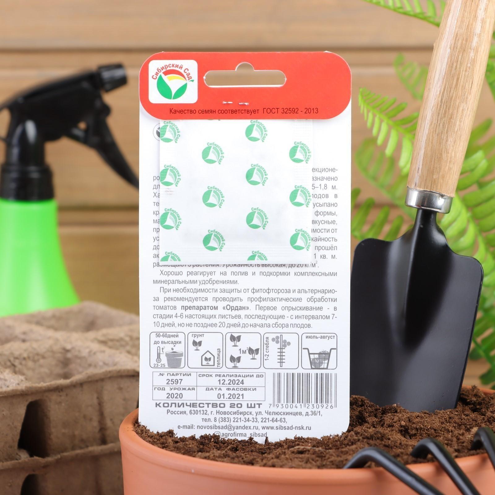 Семена Томат 