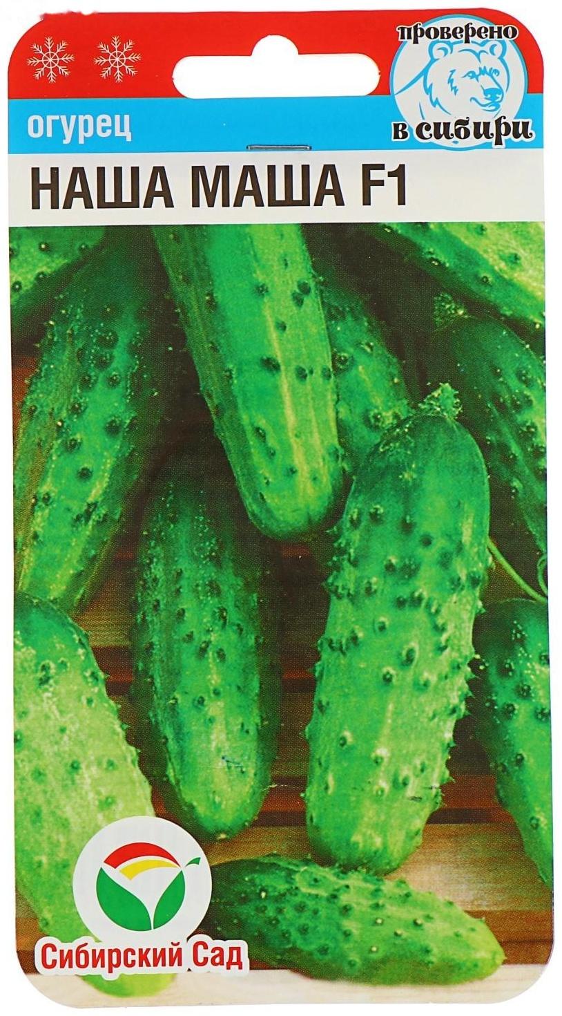 Семена Огурец Наша Маша F1, партенокарпический, 7 шт