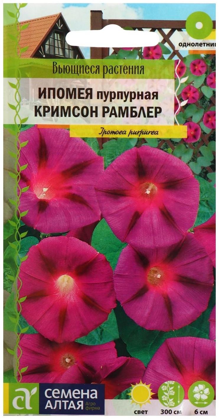 Семена цветов Ипомея 