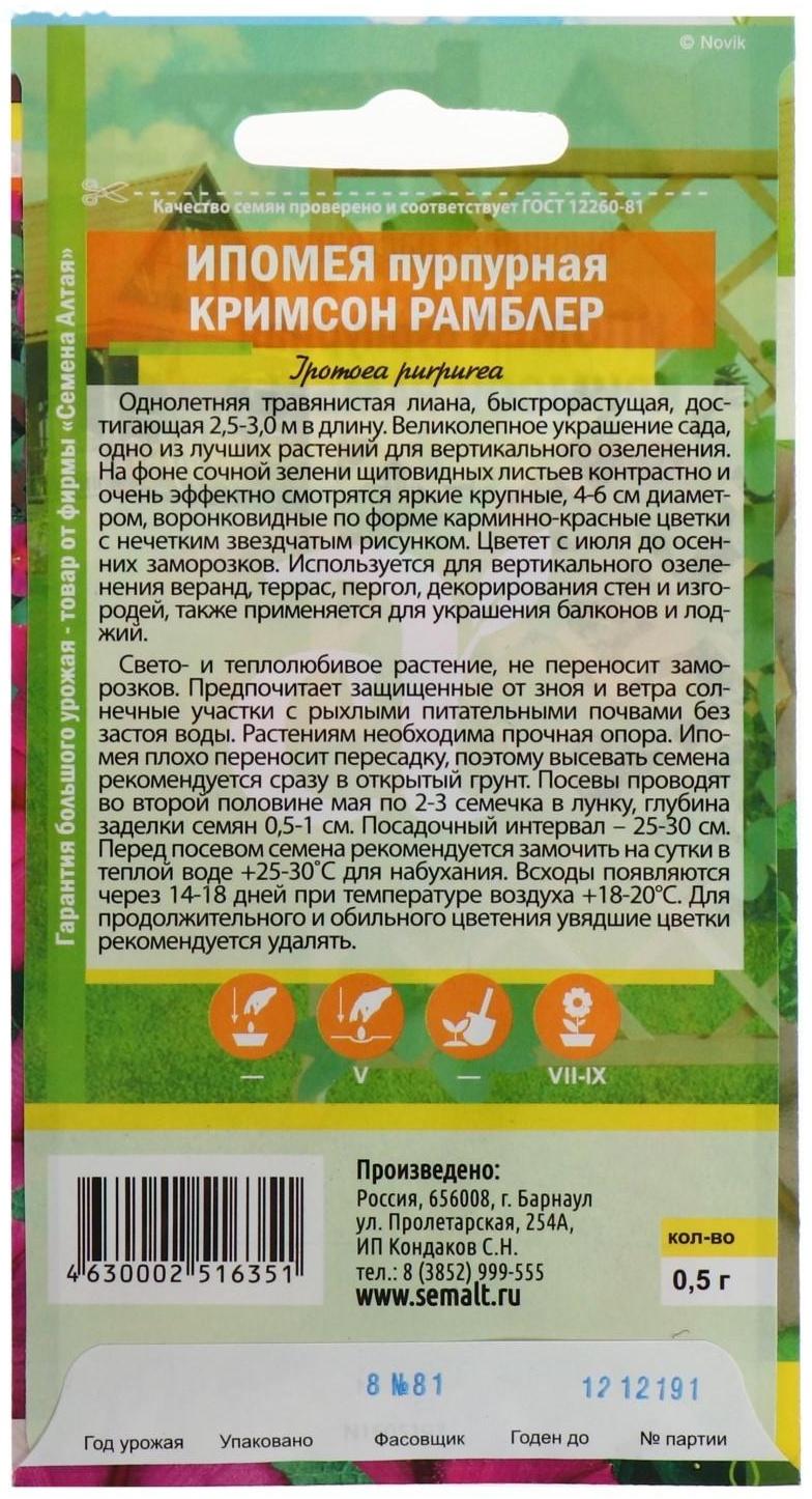 Семена цветов Ипомея 