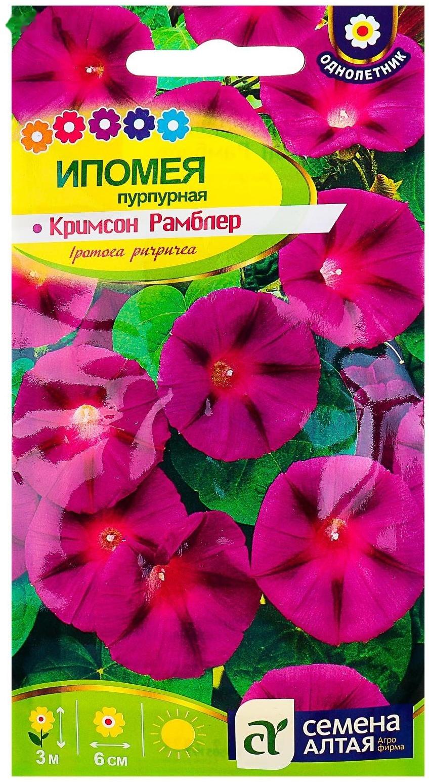 Семена цветов Ипомея 