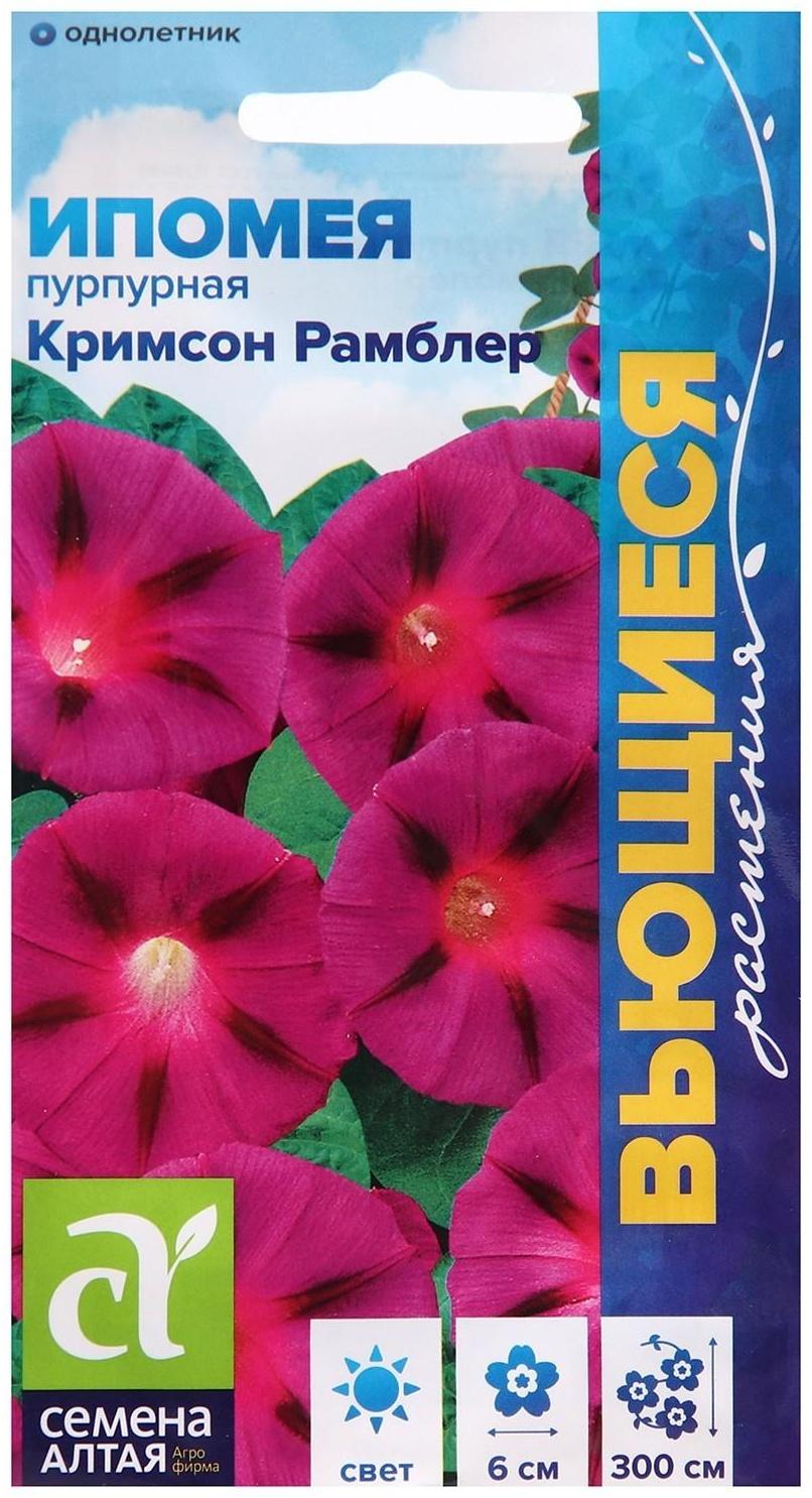 Семена цветов Ипомея 