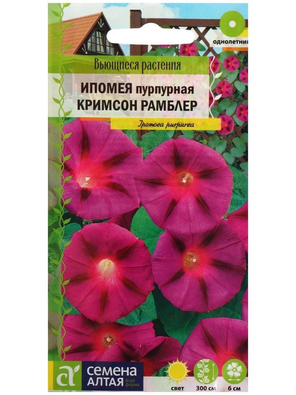 Семена цветов Ипомея 