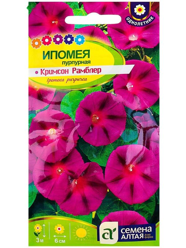 Семена цветов Ипомея 