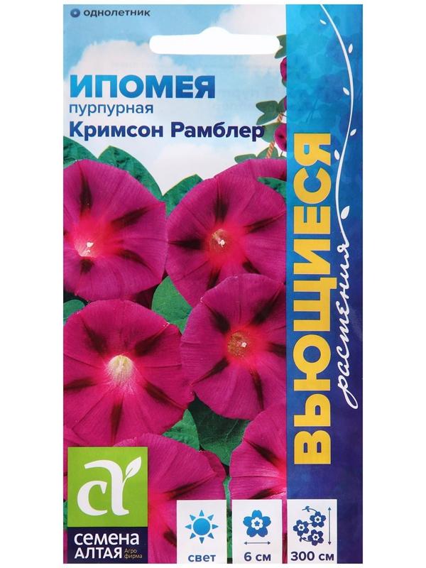 Семена цветов Ипомея 