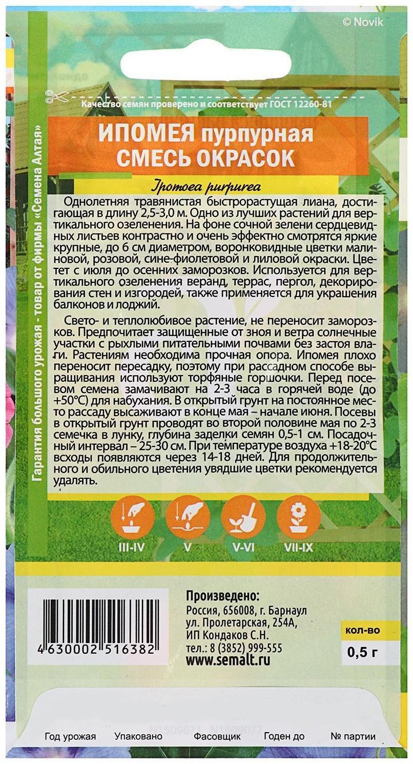 Семена цветов Ипомея 