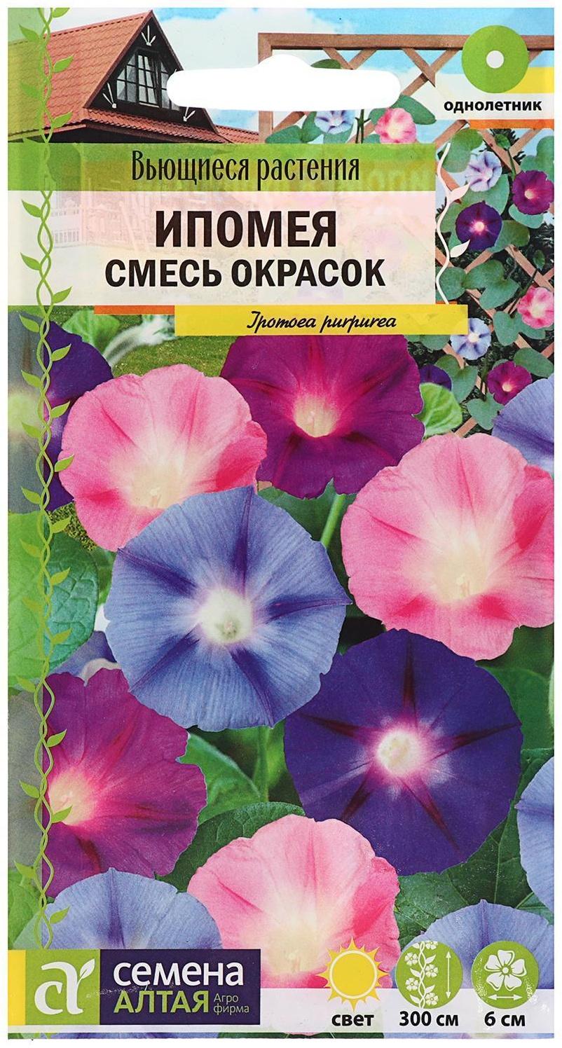 Семена цветов Ипомея 