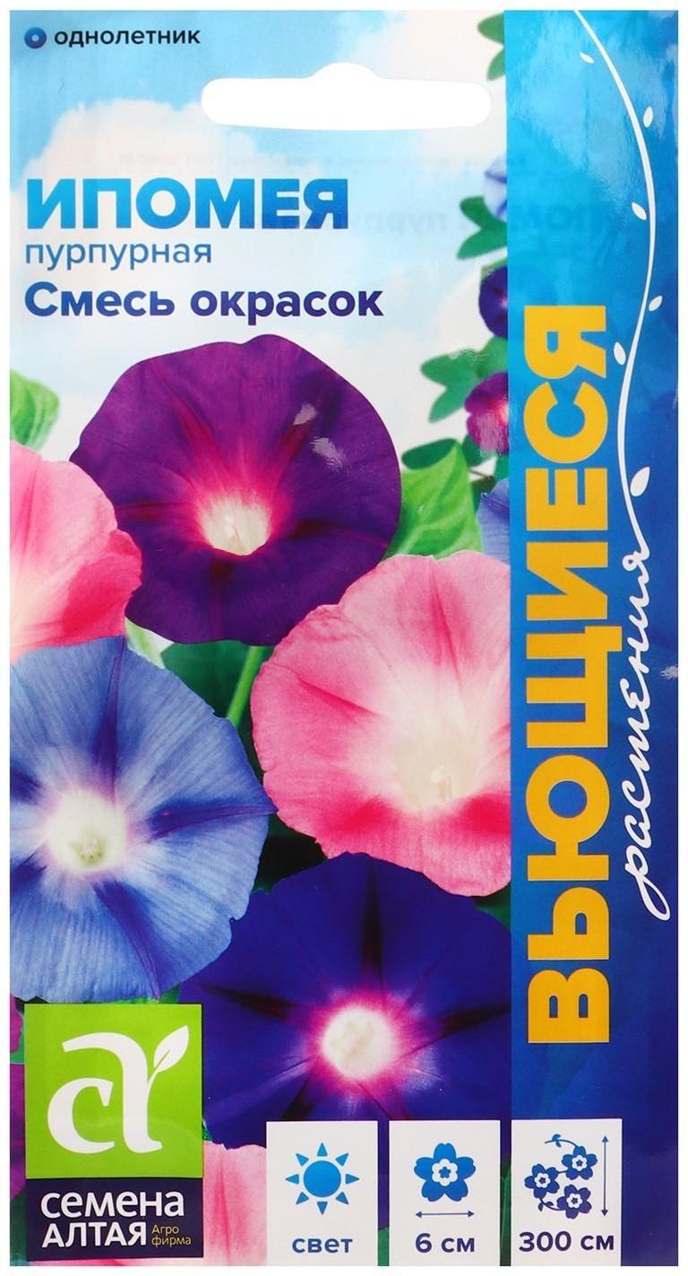 Семена цветов Ипомея 