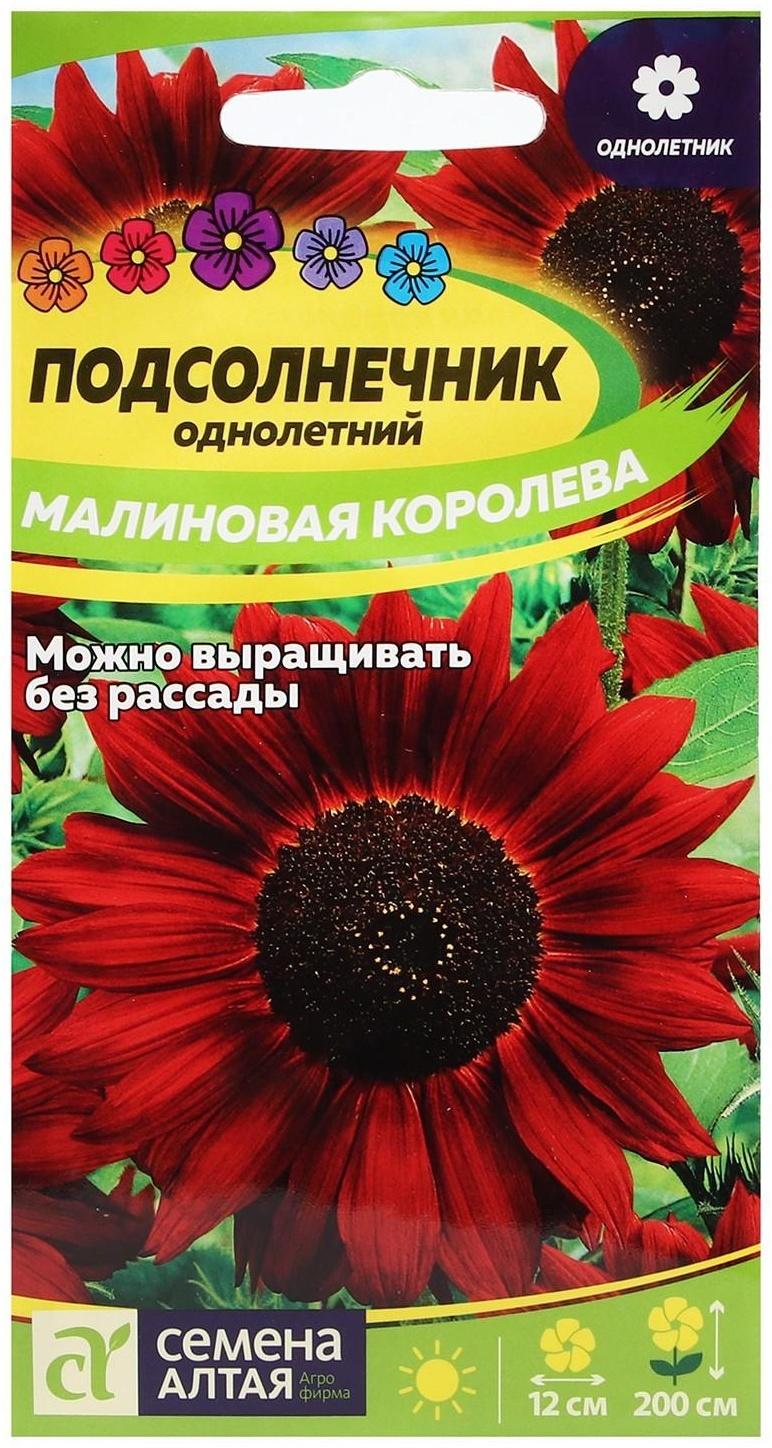 Семена цветов Подсолнечник 