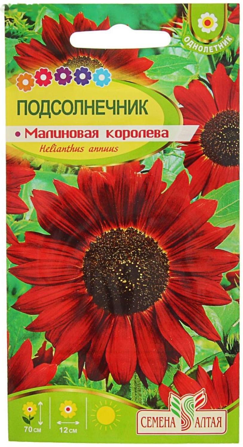 Семена цветов Подсолнечник 