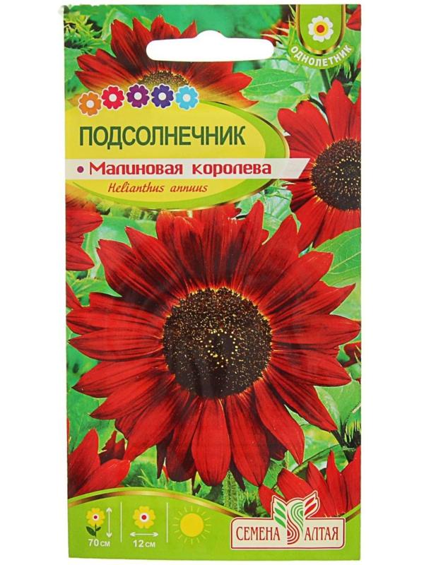 Семена цветов Подсолнечник 