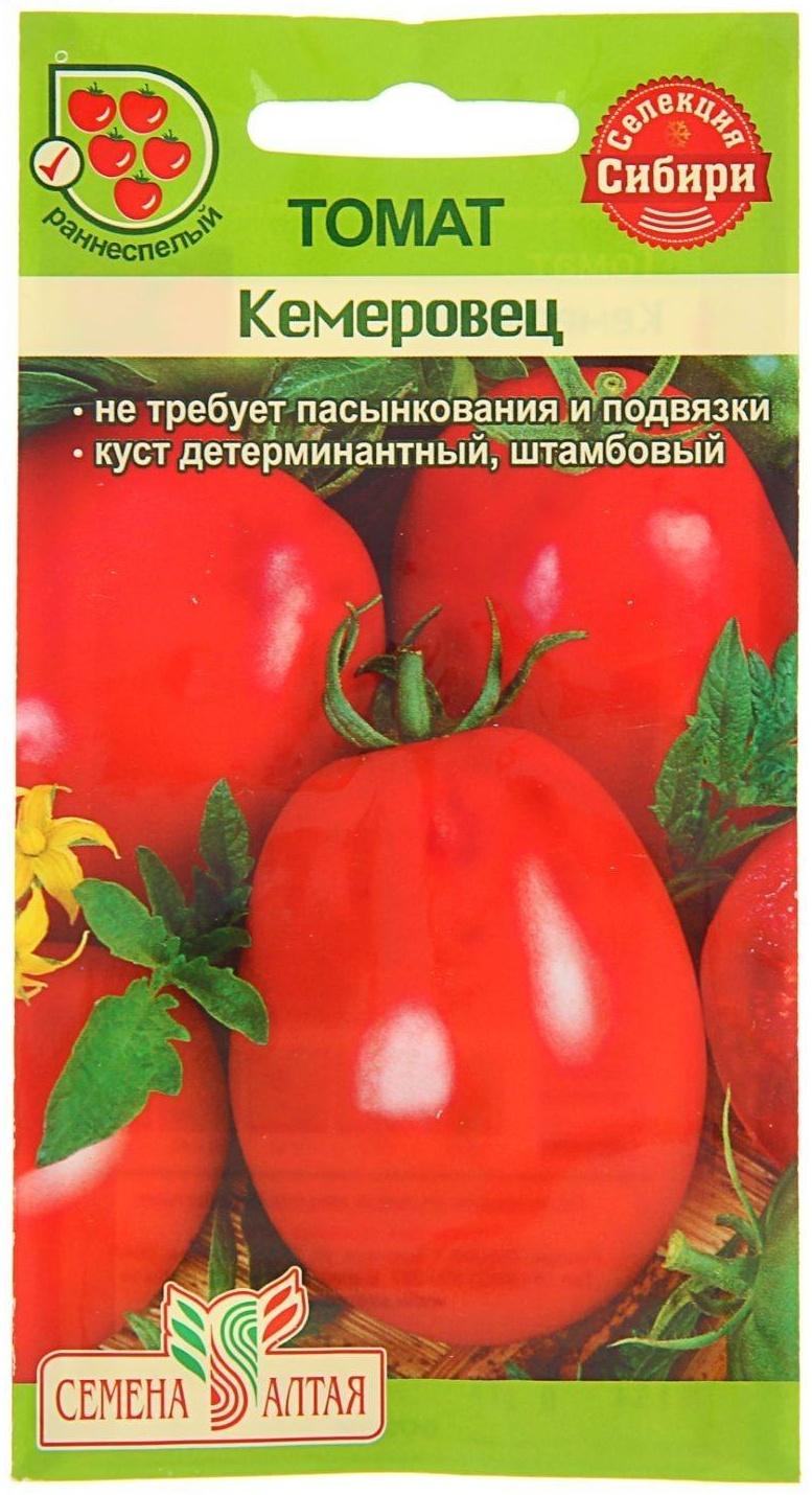 Томат кемеровец сиб сад. Помидоры кемеровец фото. Сорт томата кемеровец. Томат кемеровец семена. Томаты сорт кемеровец отзывы.