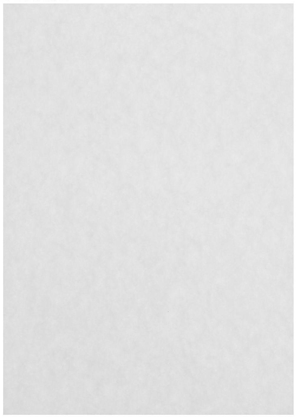 Бумага рисовальная А3, 100 листов, 200 г/м²