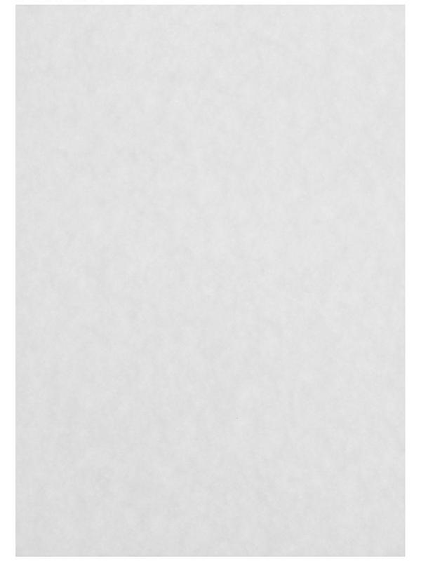 Бумага рисовальная А3, 100 листов, 200 г/м²