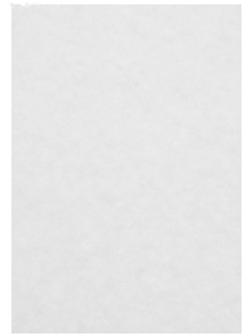 Бумага рисовальная А4, 100 листов, 200 г/м²