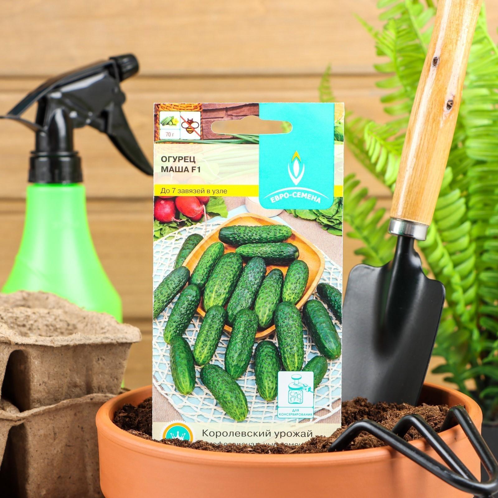 Семена Огурец 