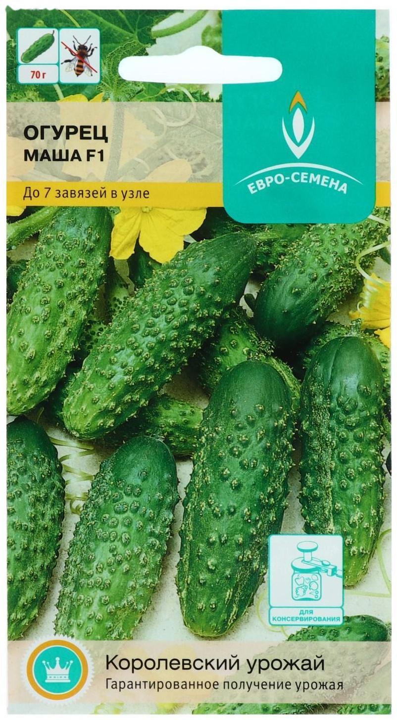 Семена Огурец 