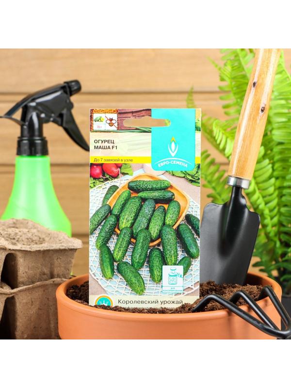 Семена Огурец 