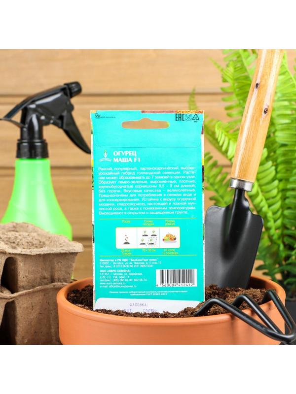 Семена Огурец 