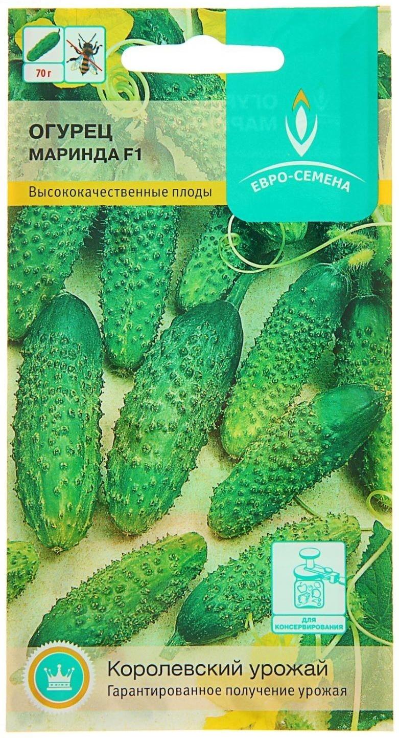 Семена Огурец 