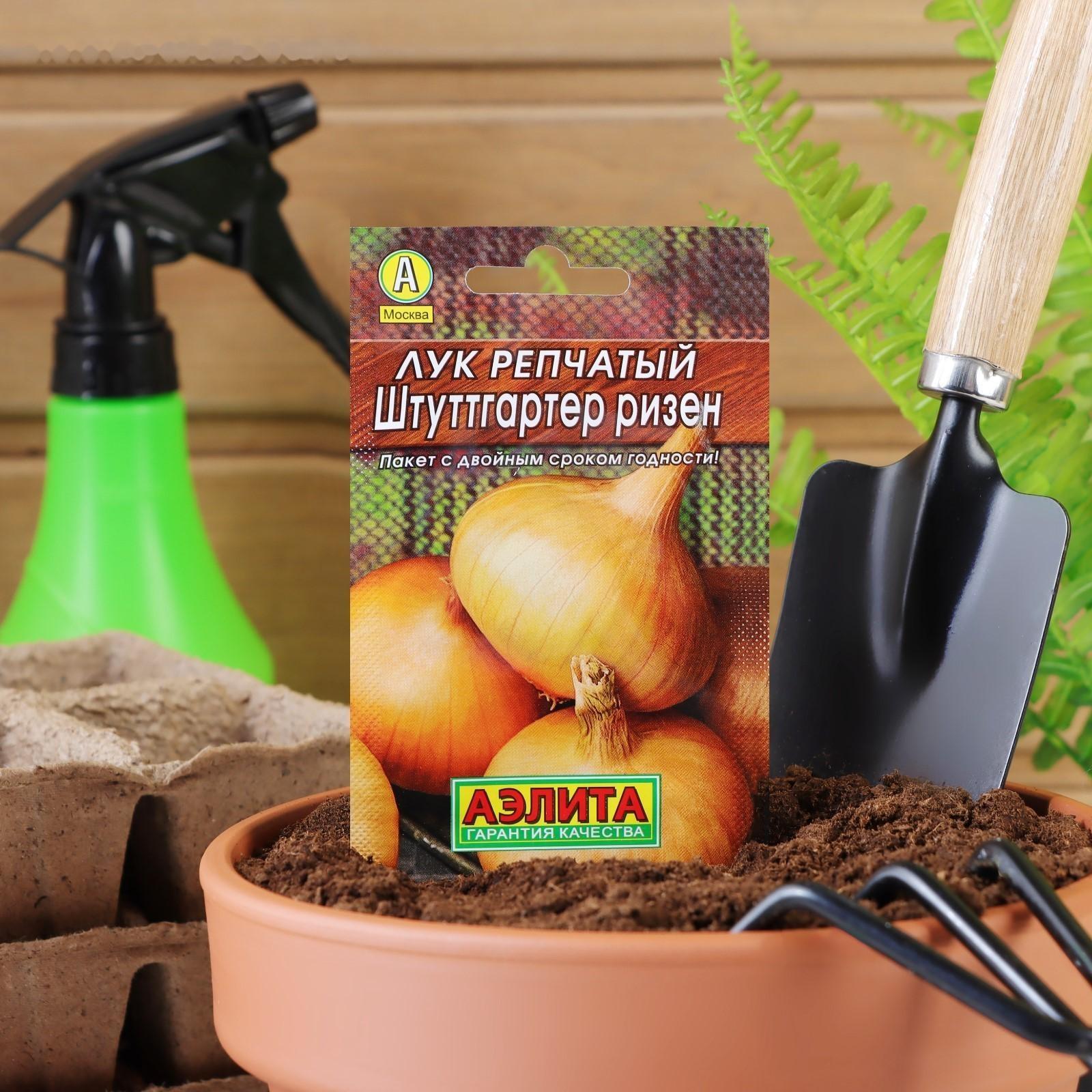 Семена Лук репчатый 