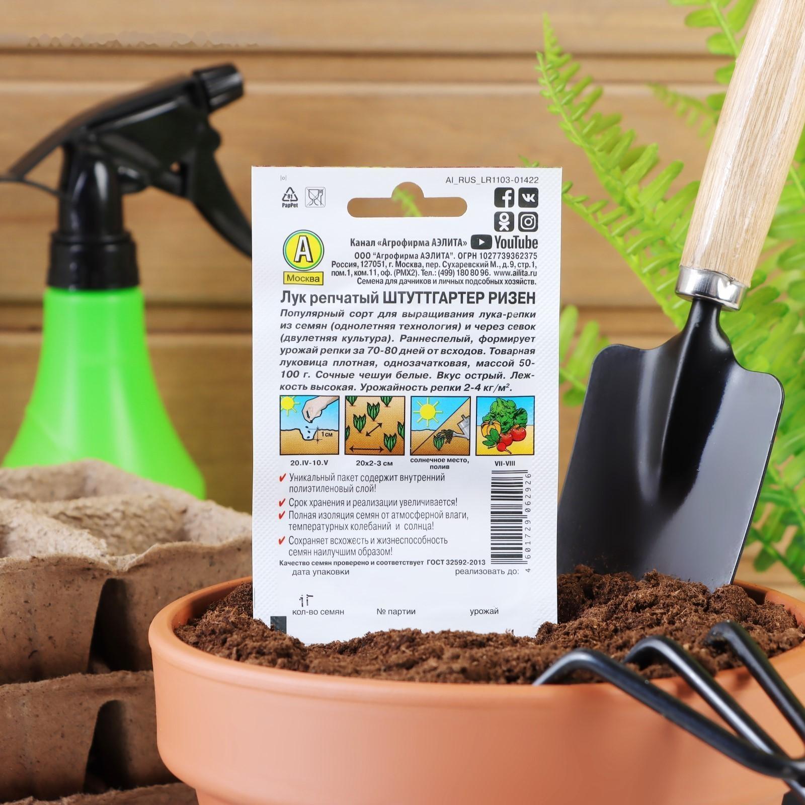 Семена Лук репчатый 