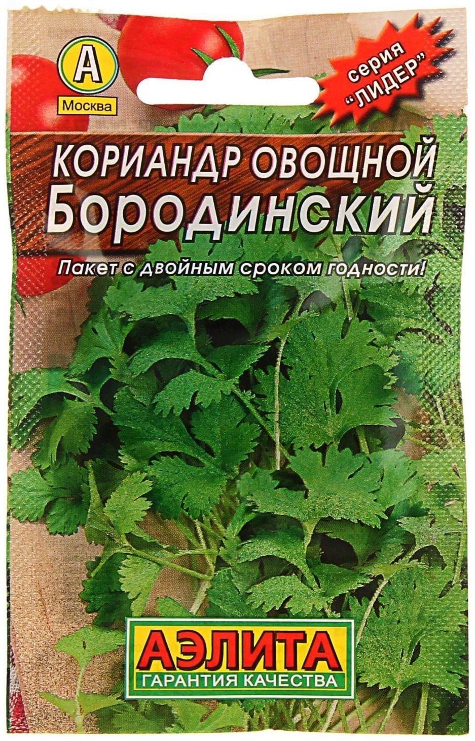 Семена  Кориандр овощной 