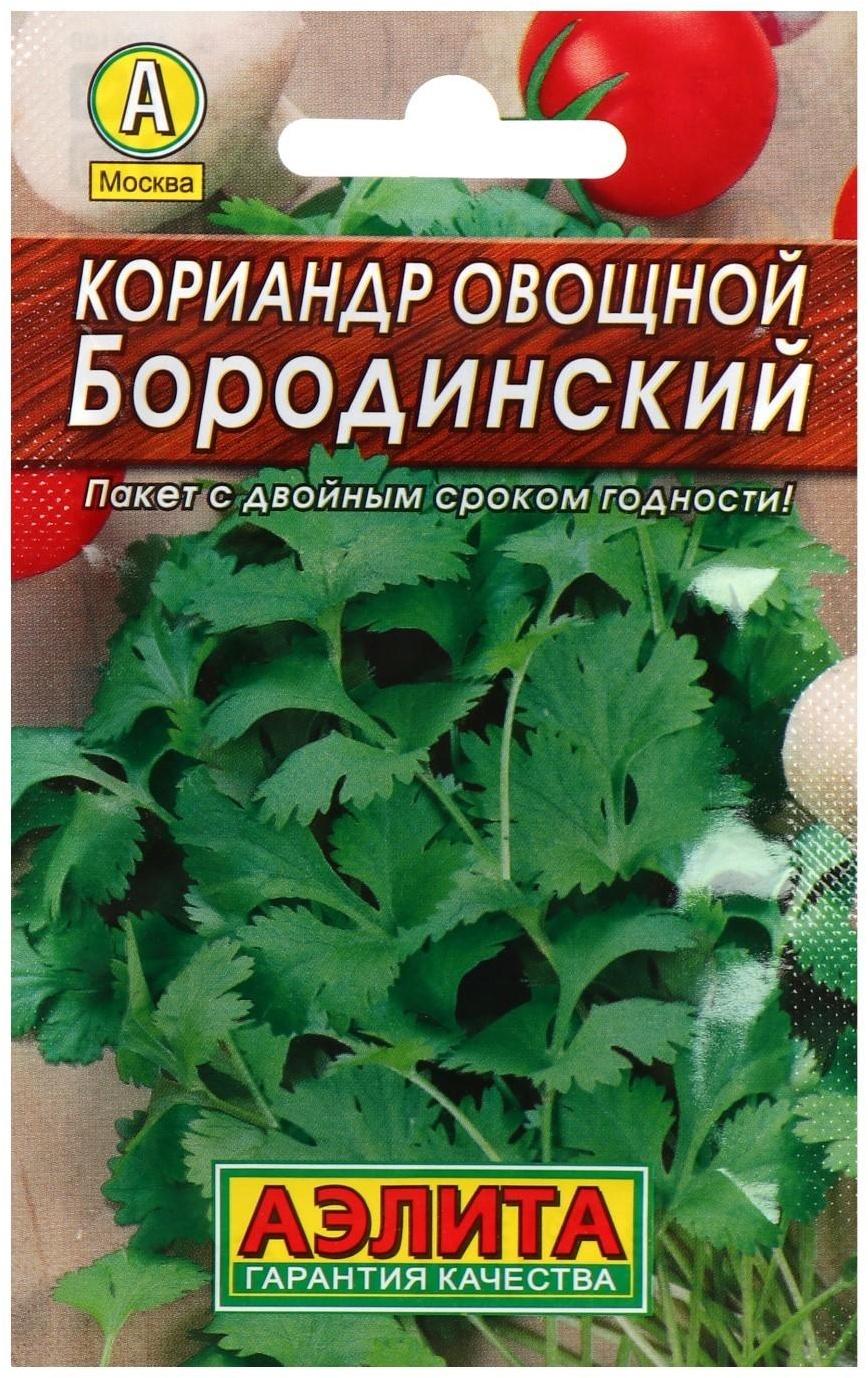 Семена  Кориандр овощной 