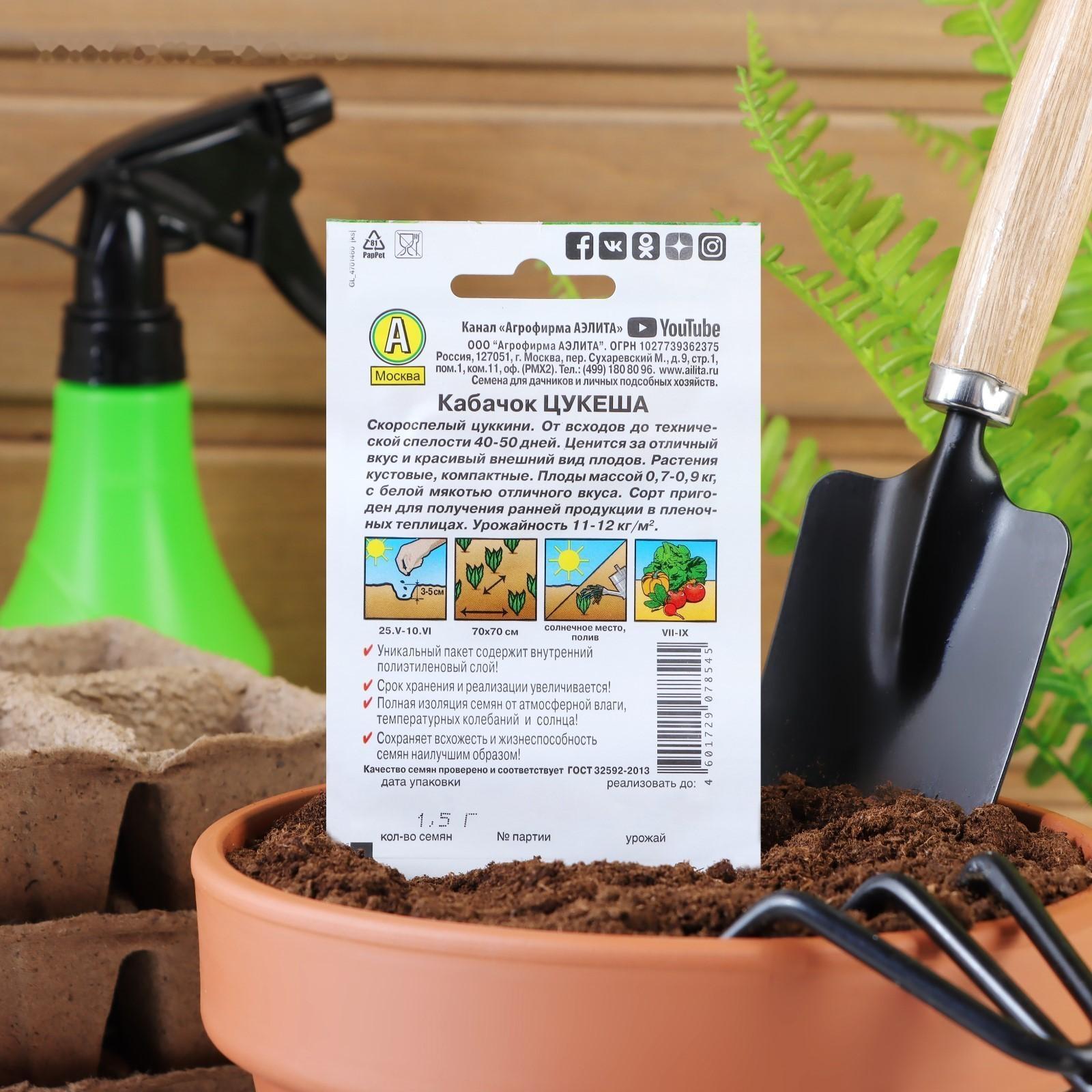 Семена Кабачок цуккини 