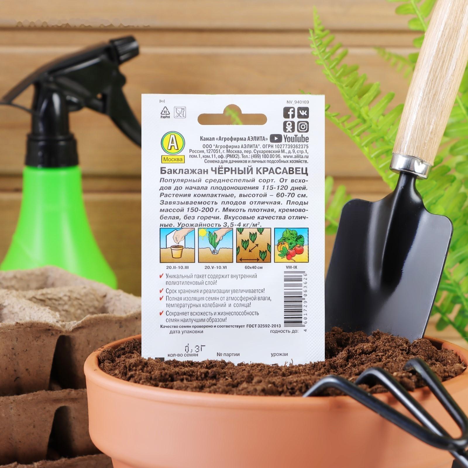 Семена Баклажан 