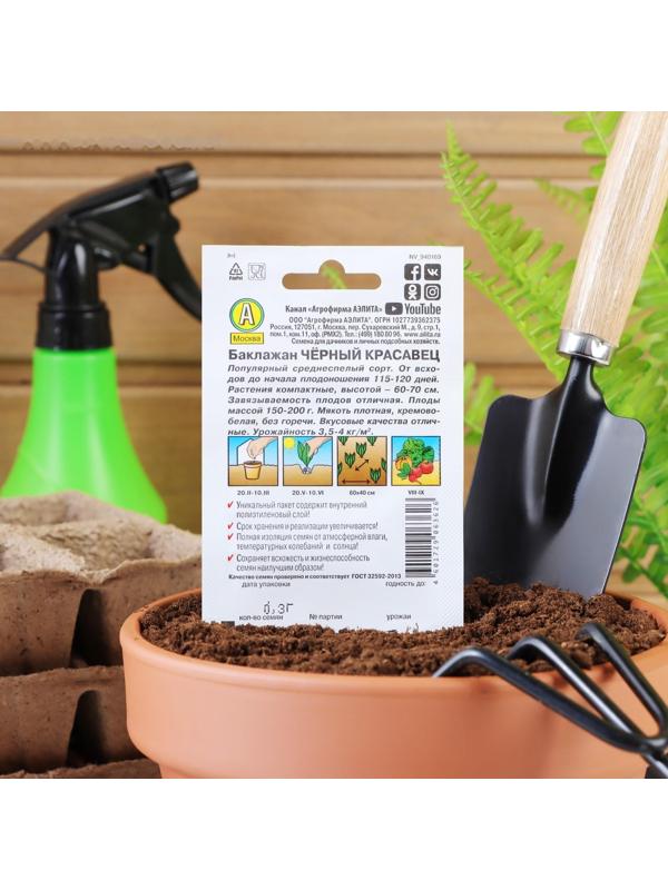 Семена Баклажан 