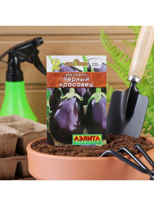 Семена Баклажан 