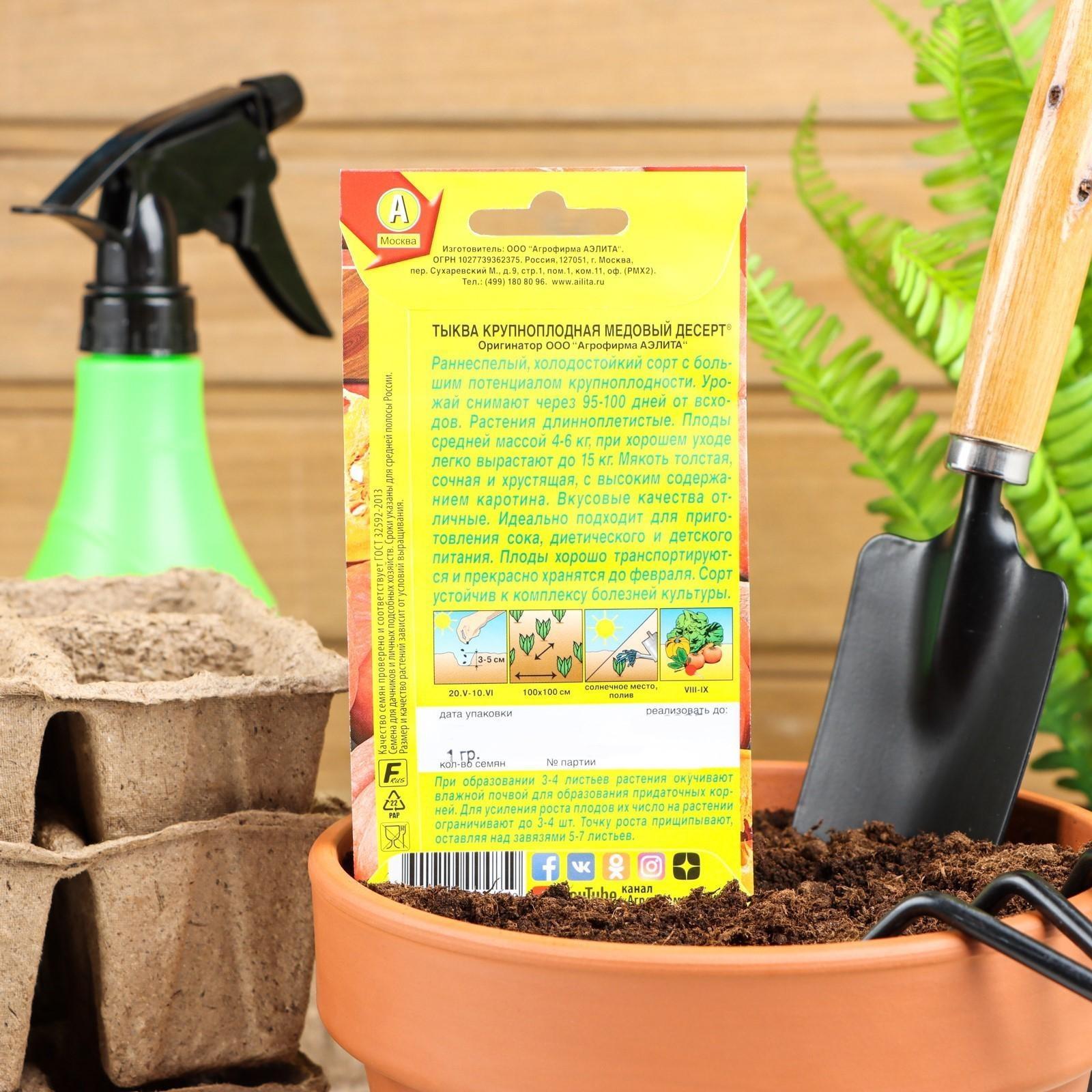 Семена Тыква крупноплодная 