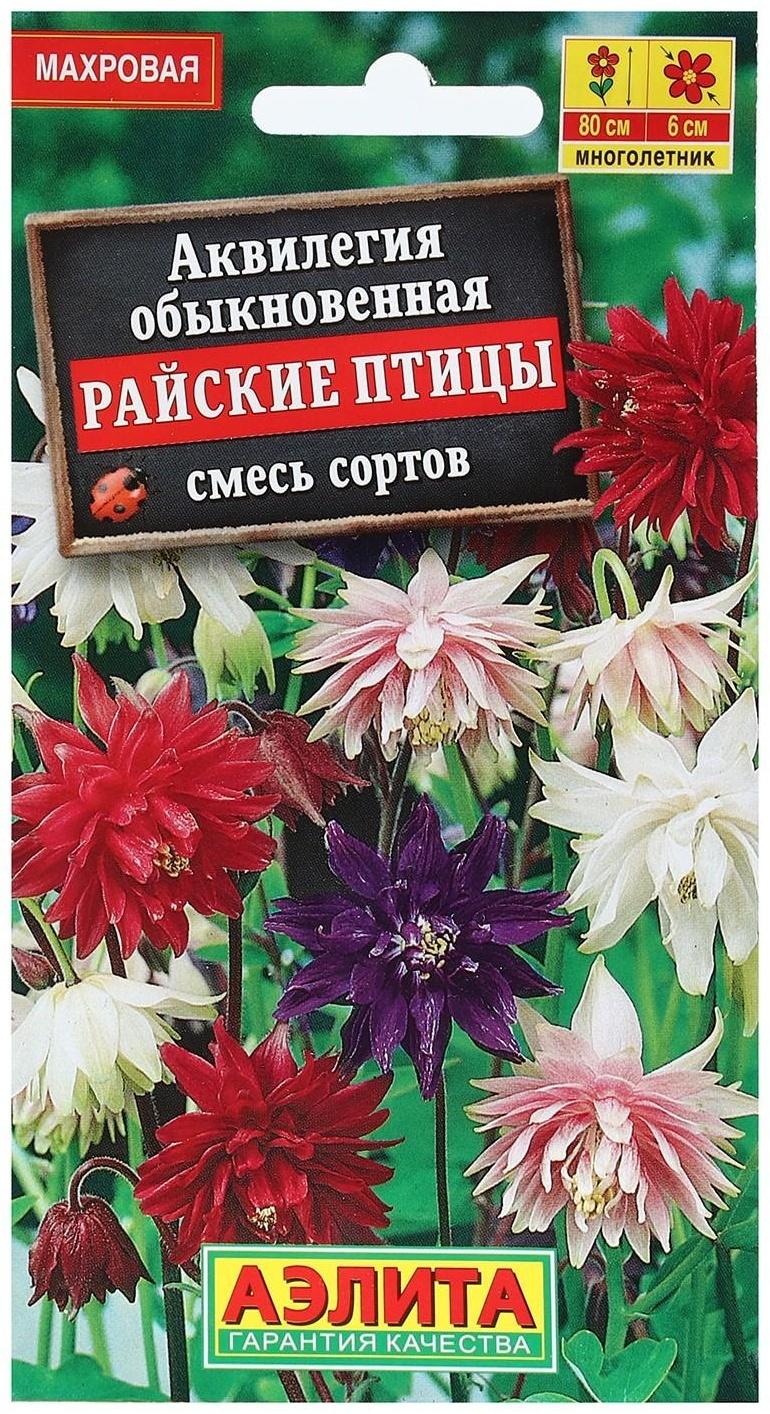 Семена цветов Аквилегия 