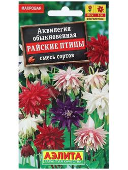 Семена цветов Аквилегия 