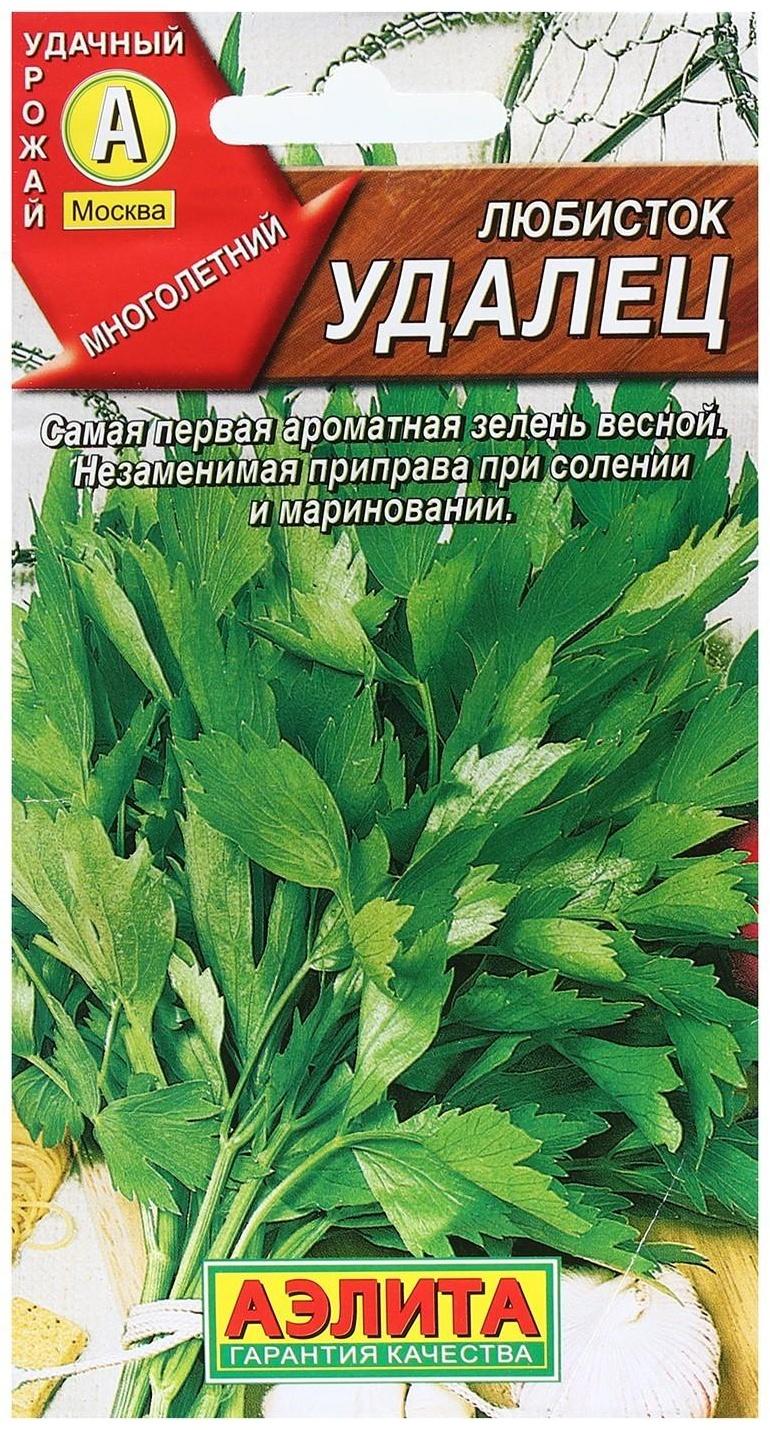 Семена  Любисток 