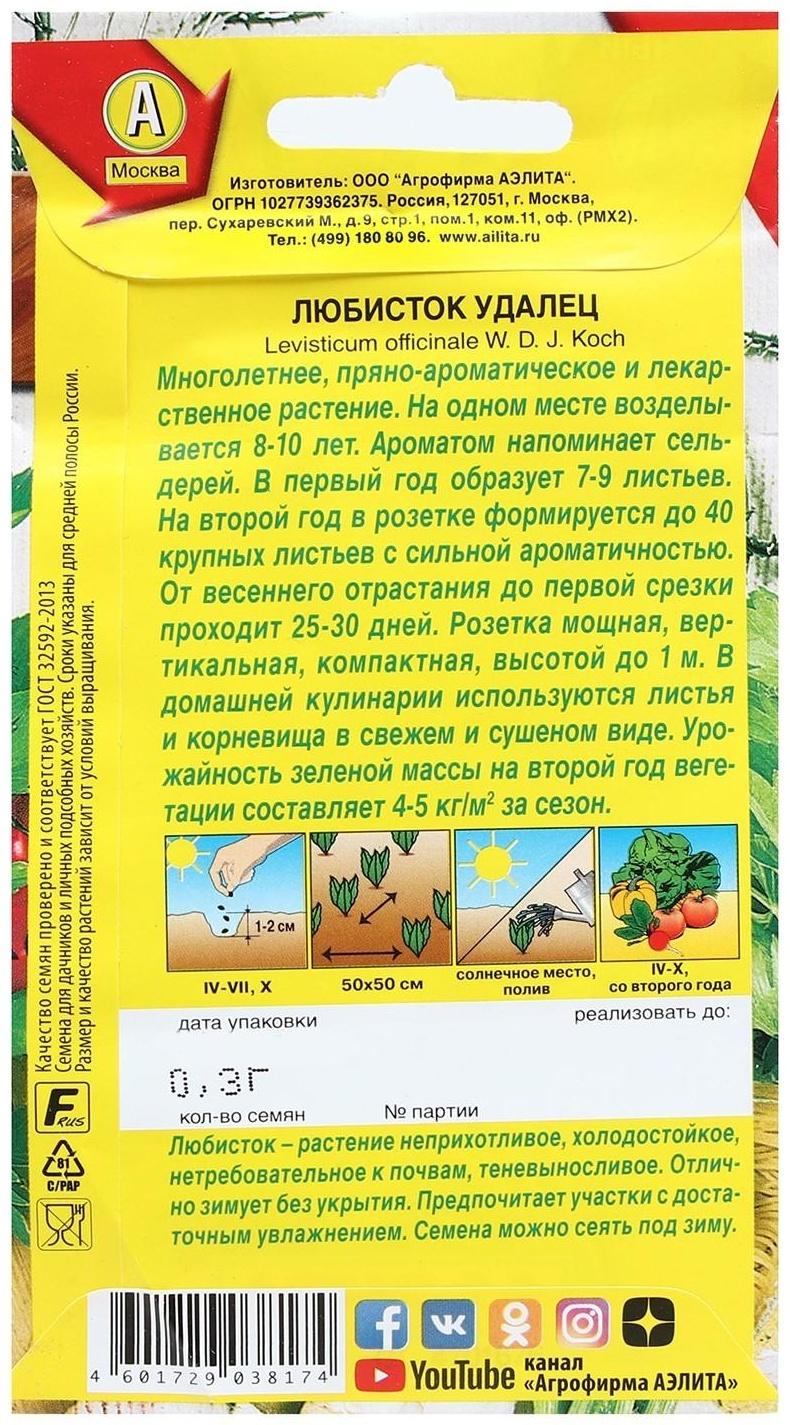 Семена  Любисток 