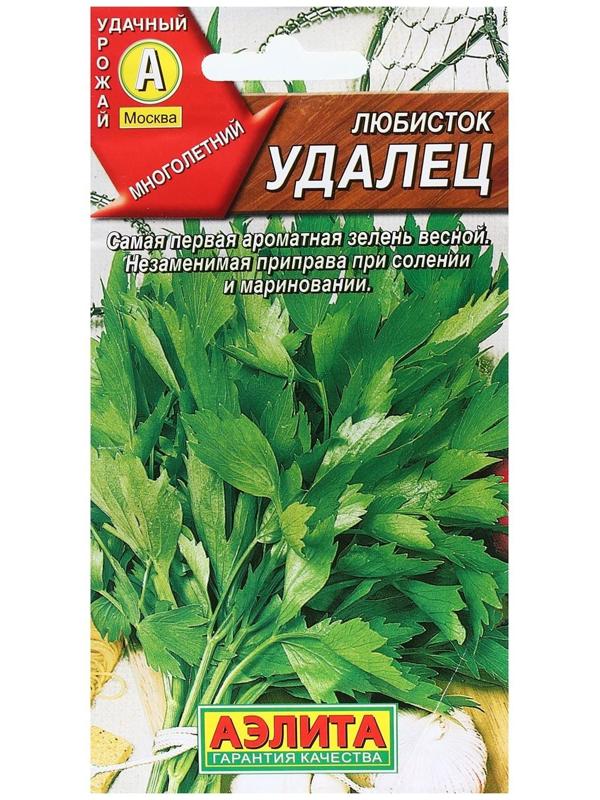 Семена  Любисток 