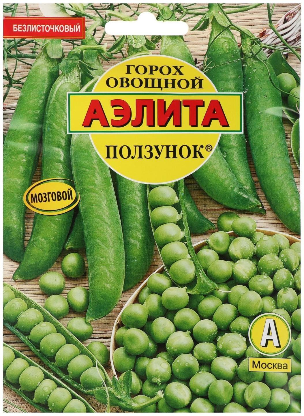 Семена Горох 