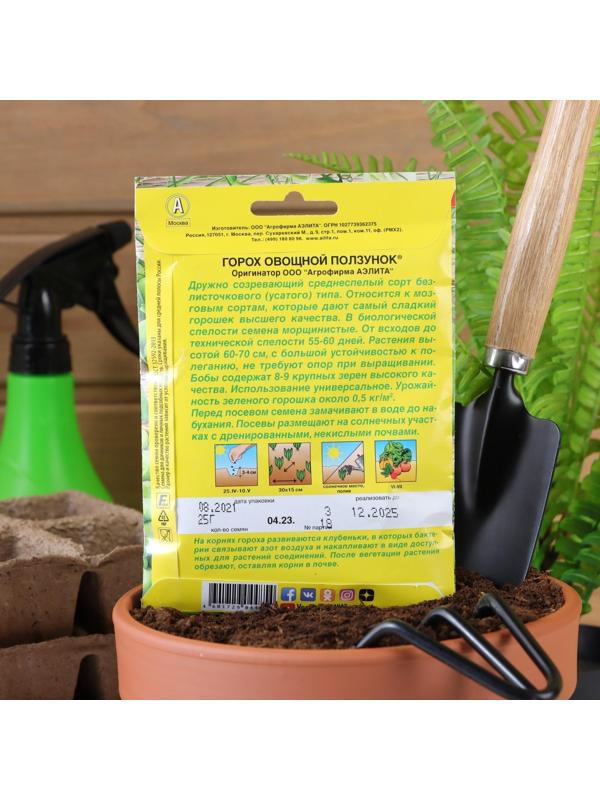 Семена Горох 